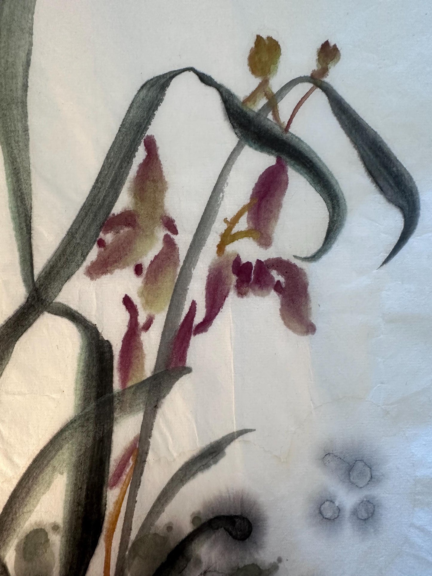 Original Chinese Ink Orchid Painting, Hand Painted “Lan Xiang” Floral Artwork on Rice Paper, 20 × 12 Inches