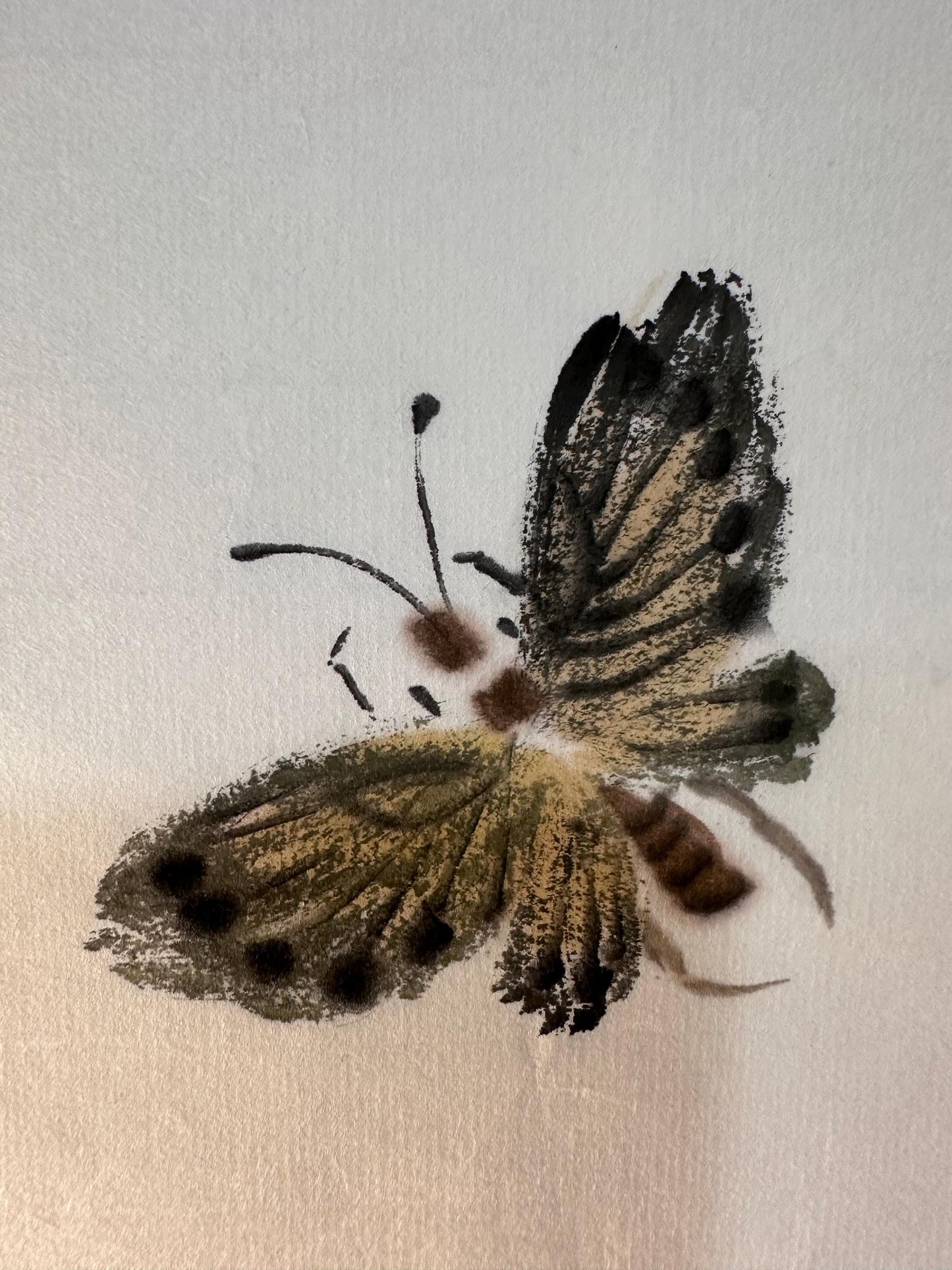 Original Chinese Ink Painting “Spring Whispers”, Butterflies and Blossoms, Hand Painted Floral Wall Art, 14 x 16 Inches