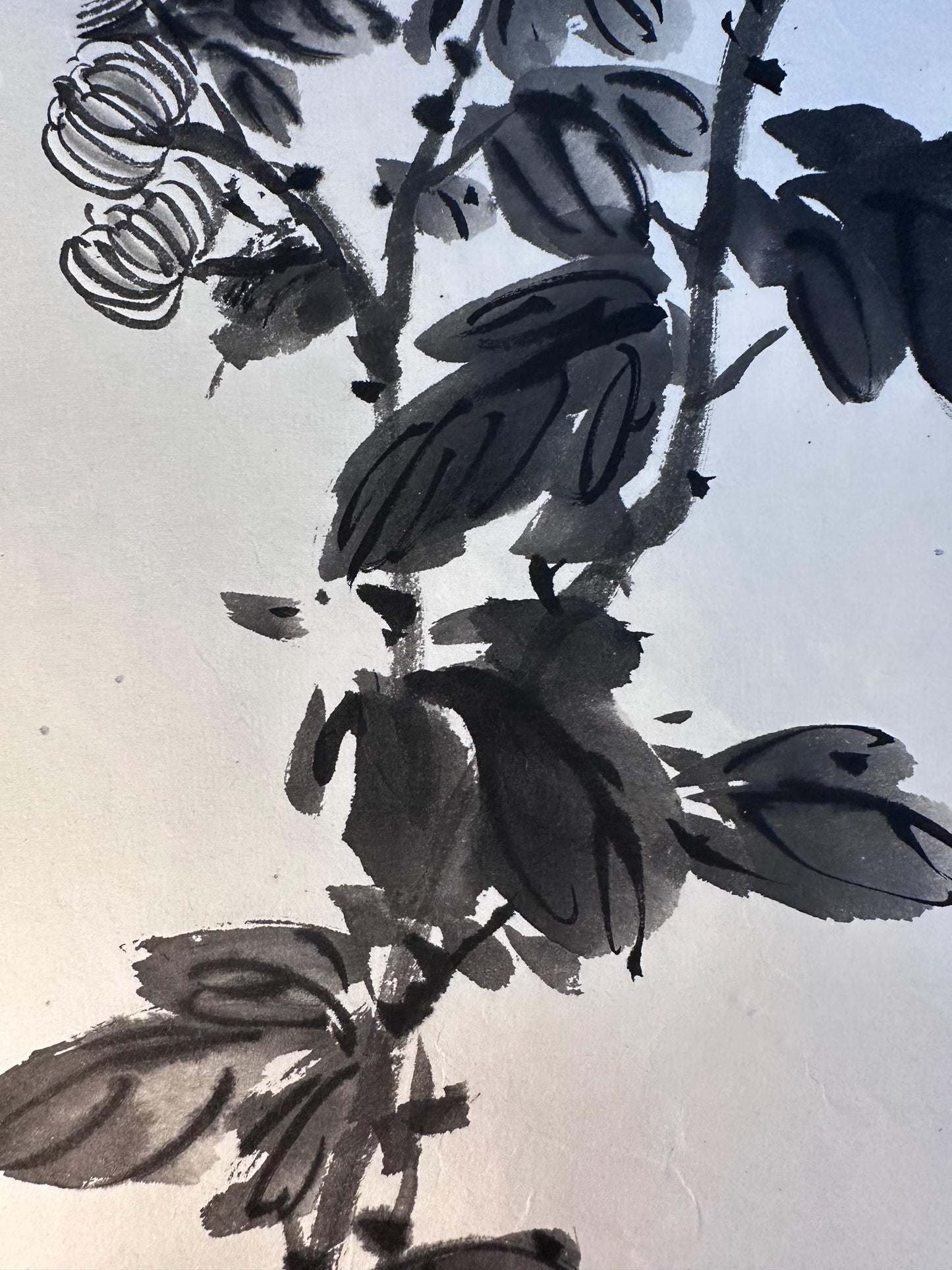 Original Chinese Ink Chrysanthemum Painting, Hand Painted Black and White Floral Wall Art on Rice Paper, 13 x 18 Inches