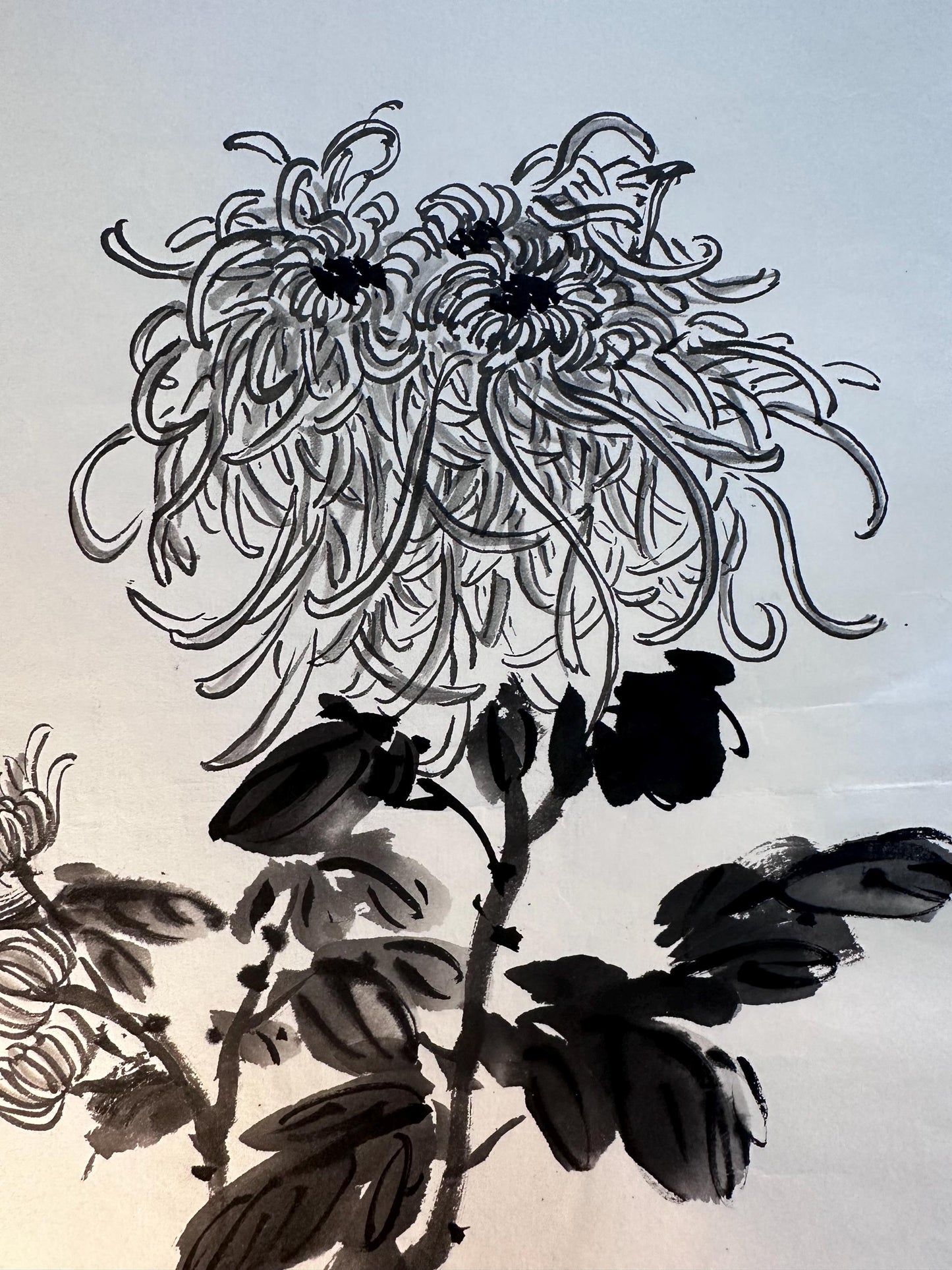 Original Chinese Ink Chrysanthemum Painting, Hand Painted Black and White Floral Wall Art on Rice Paper, 13 x 18 Inches