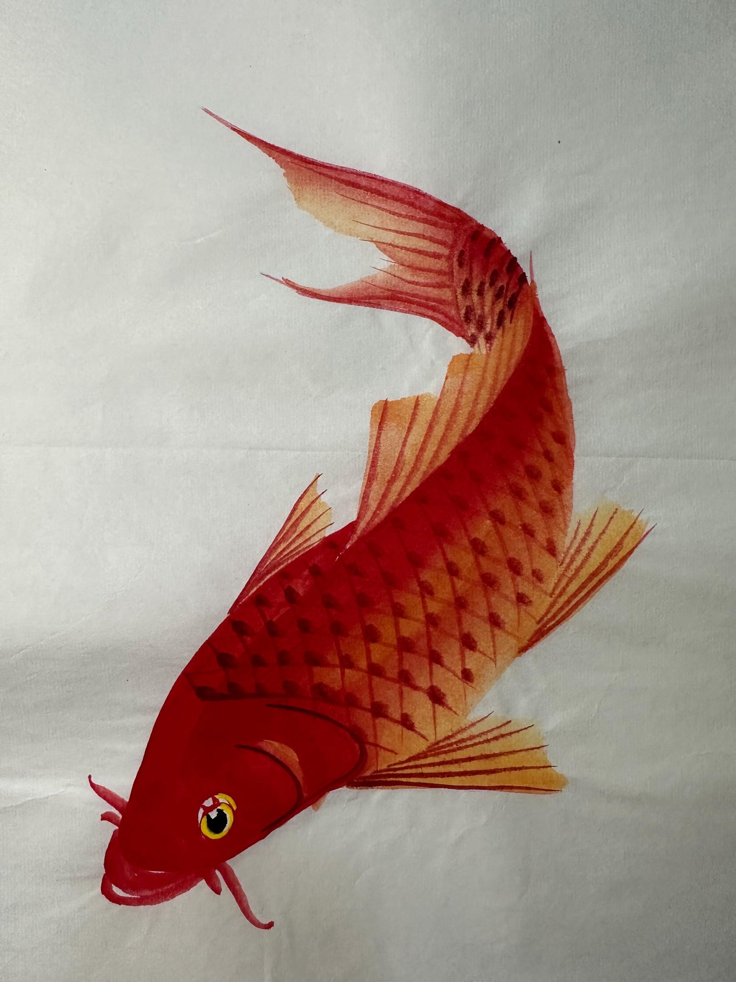 Hand-Painted Red Carp Ink Art, Traditional Chinese Wall Art (13.4 x 13.4 inches)