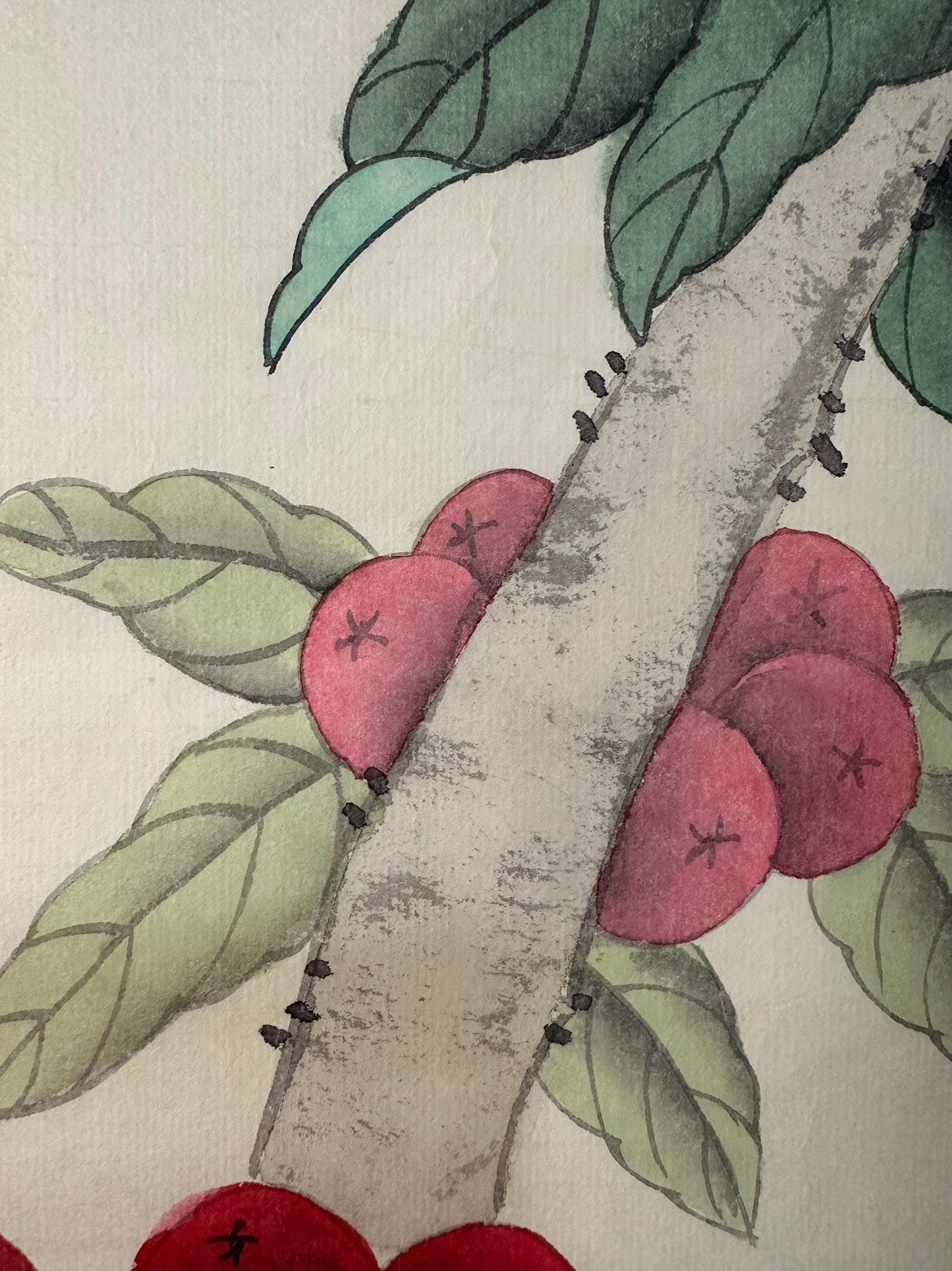 Original Chinese Gongbi Painting | White Parrots & Red Berries | Hand Painted Asian Wall Art | 26 Inches