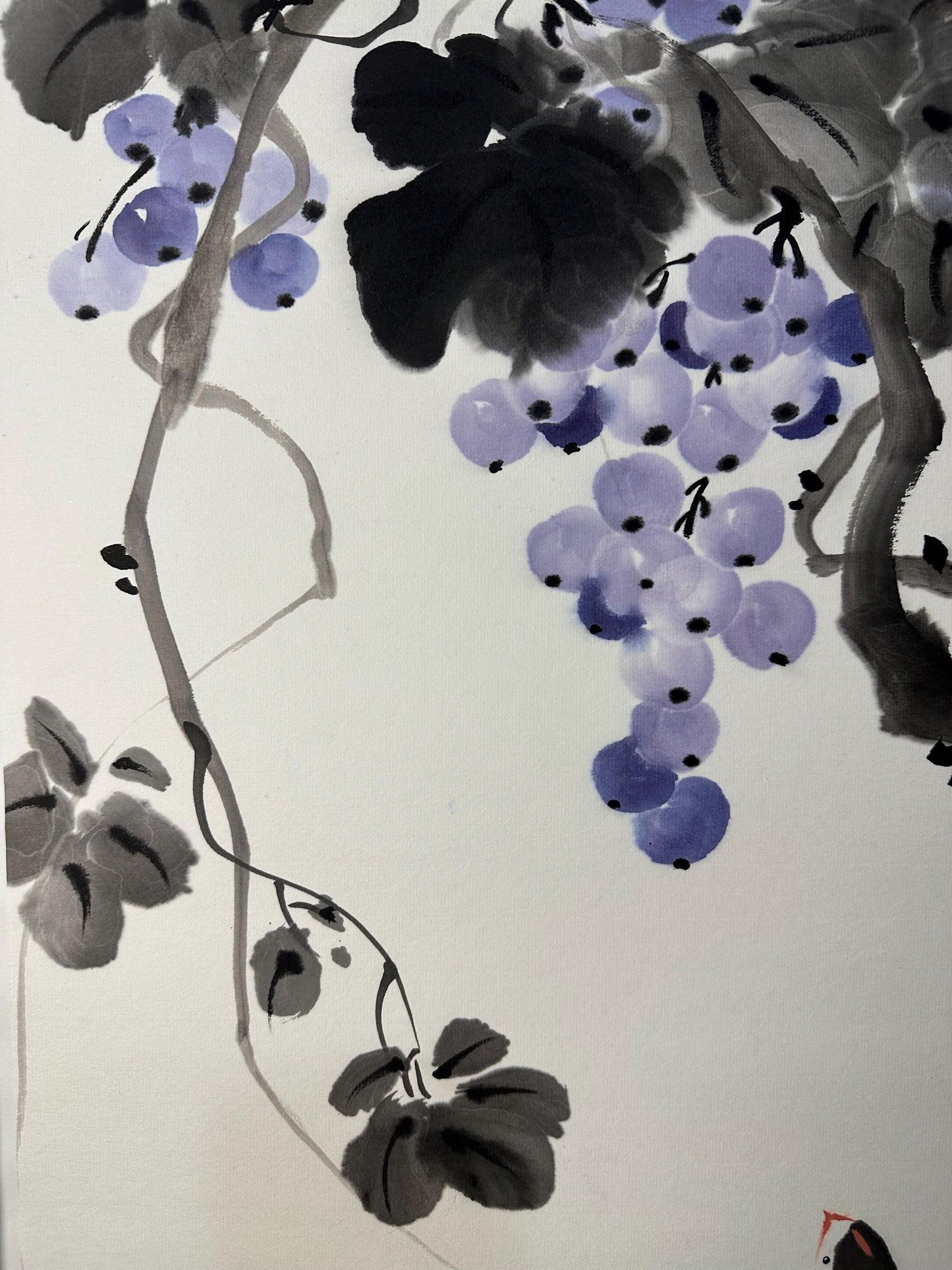 Original Chinese Ink Painting 13x18 Inch, Grapes and Bird Art, Hand Painted Chinese Wall Art, Traditional Ink Wash Painting